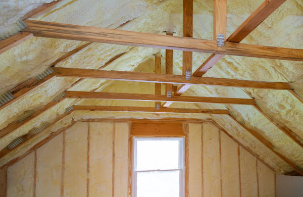 Best Commercial Insulation in Luverne, MN