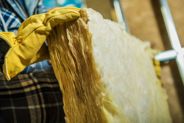 Best Insulation Maintenance and Repair in Luverne, MN